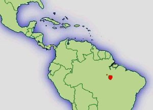 Distribución Adelphobates castaneoticus