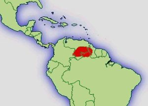 Distribución D.Leucomelas